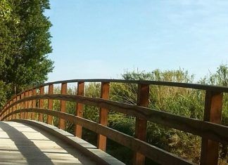 El carisma – Las 21 cualidades indispensables del líder El carisma – Las 21 cualidades indispensables del líder