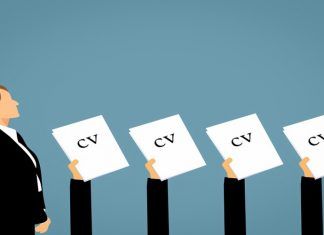 Elementos que debe tener un curriculum perfecto Elementos que debe tener un curriculum perfecto