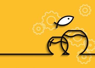 Las marcas que ofrecen las mejores experiencias a sus clientes Mejor experiencia del cliente