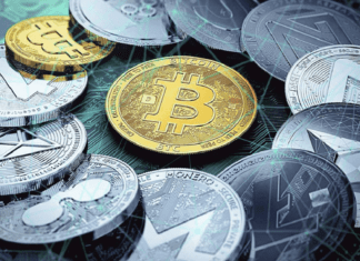 personas con mas criptomonedas en el mundo