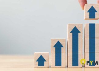 importancia del crecimiento de las pymes