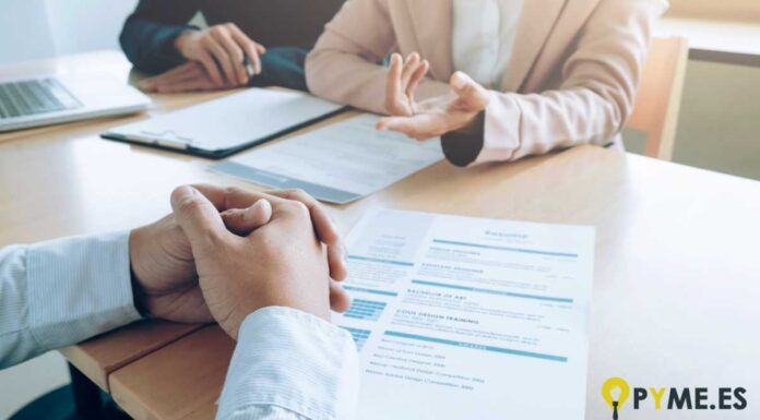 curriculums para entrevistas