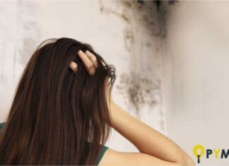 combatir problemas de humedades en una oficina