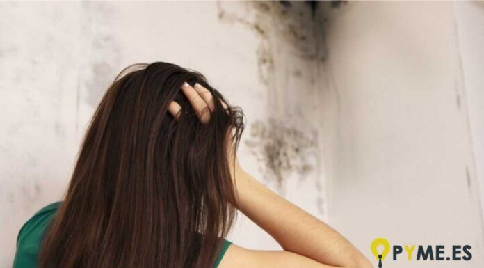 combatir problemas de humedades en una oficina