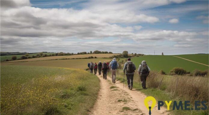 Ventajas de las agencia organizadora
