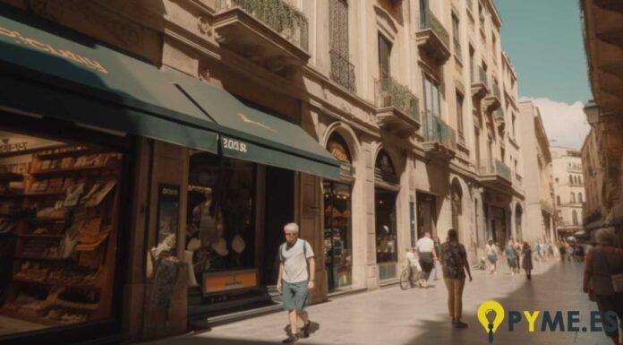 asesoramiento y la gestión profesional