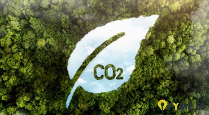 reducir la huella de carbono