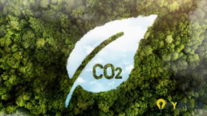 reducir la huella de carbono