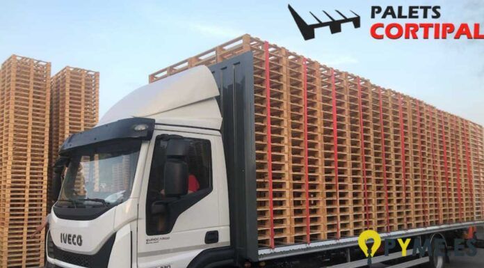 ¿Nuevo o reciclado? La respuesta definitiva en palets de madera para tu empresa Palets de madera