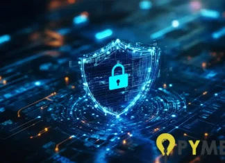 razones por las que tu pyme necesita una VPN para operar con seguridad