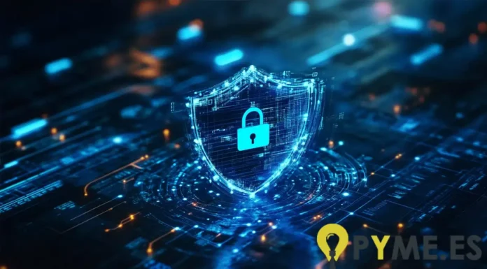 5 razones por las que tu pyme necesita una VPN para operar con seguridad razones por las que tu pyme necesita una VPN para operar con seguridad