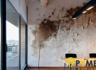 Qué problemas puede ocasionar las humedades en empresas