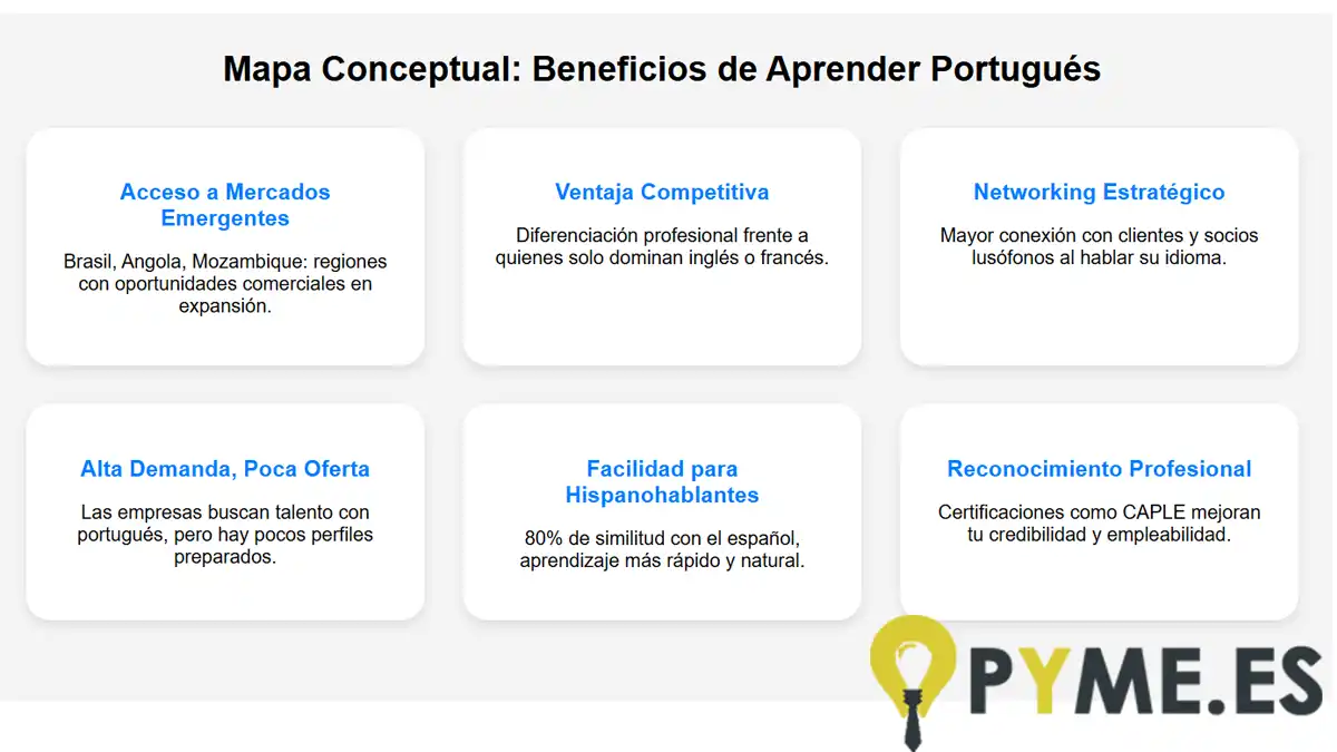 mapa conceptual de aprender portugués