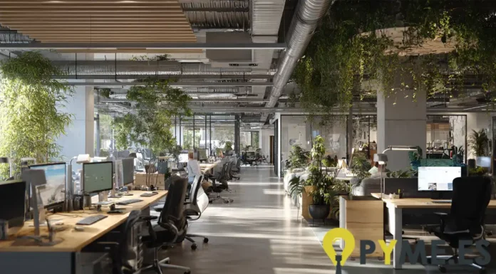 Cómo un diseño integral de oficinas puede aumentar la productividad de tu pyme