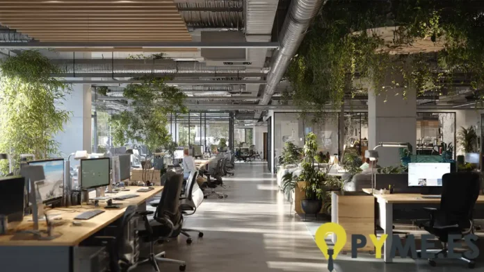 Cómo un diseño integral de oficinas puede aumentar la productividad de tu pyme