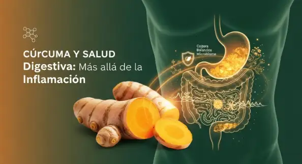 curcuma y salud digestiva