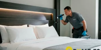 Cómo eliminar chinches de cama en hoteles: estrategias profesionales para el sector servicios en 2026 cómo eliminar chinches de cama en hoteles