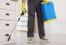 insecticidas líquidos cómo utilizarlos correctamente para eliminar infestaciones