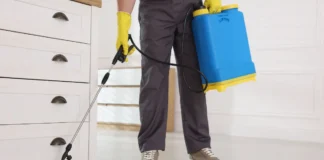 insecticidas líquidos cómo utilizarlos correctamente para eliminar infestaciones