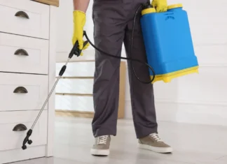 insecticidas líquidos cómo utilizarlos correctamente para eliminar infestaciones