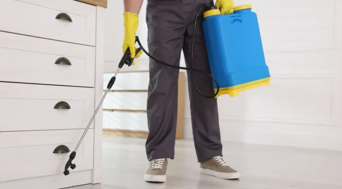 Insecticidas líquidos: cómo utilizarlos correctamente para eliminar infestaciones de forma eficaz insecticidas líquidos cómo utilizarlos correctamente para eliminar infestaciones