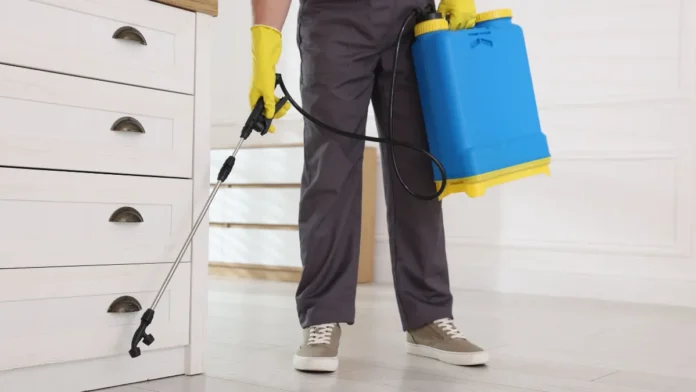 insecticidas líquidos cómo utilizarlos correctamente para eliminar infestaciones