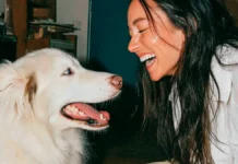 seguro veterinario para perros Milo