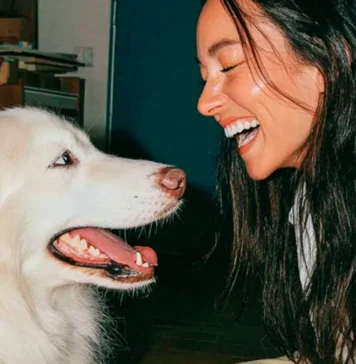 Revolución en el sector insurtech: Cómo Milo transforma el cuidado canino y el mercado asegurador seguro veterinario para perros Milo