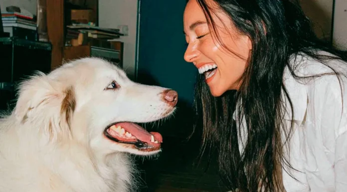 seguro veterinario para perros Milo