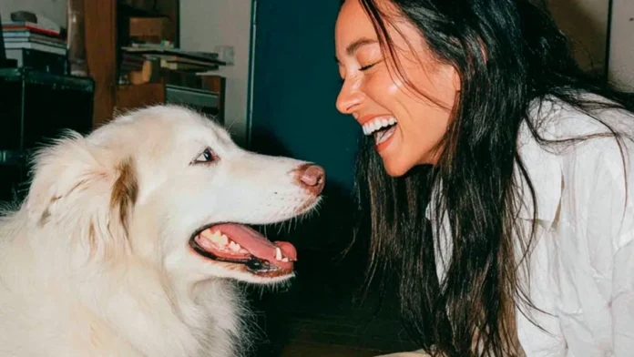 seguro veterinario para perros Milo
