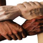 Una cultura sana unifica a la gente (2).