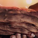 Modelos de culturas sanas (Parte 7).