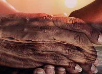 Modelos de culturas sanas Modelos de culturas sanas (Parte 7).