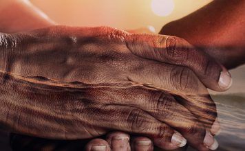 Modelos de culturas sanas Modelos de culturas sanas (Parte 7).