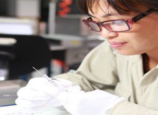 La contribución femenina La contribución femenina