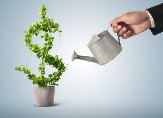 crecimiento empresarial