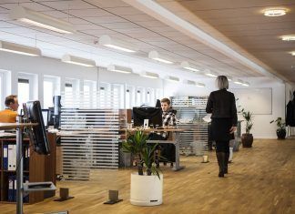 Clasificación de las empresas Pyme Es especialmente relevante tener en cuenta, su clasificación, organización y de qué manera se distribuyen. Desde el año 2005 se puede diferenciar de acuerdo a un sistema clasificatorio cada tipo de empresa; según la cantidad de trabajadores, volumen de negocio y producción.